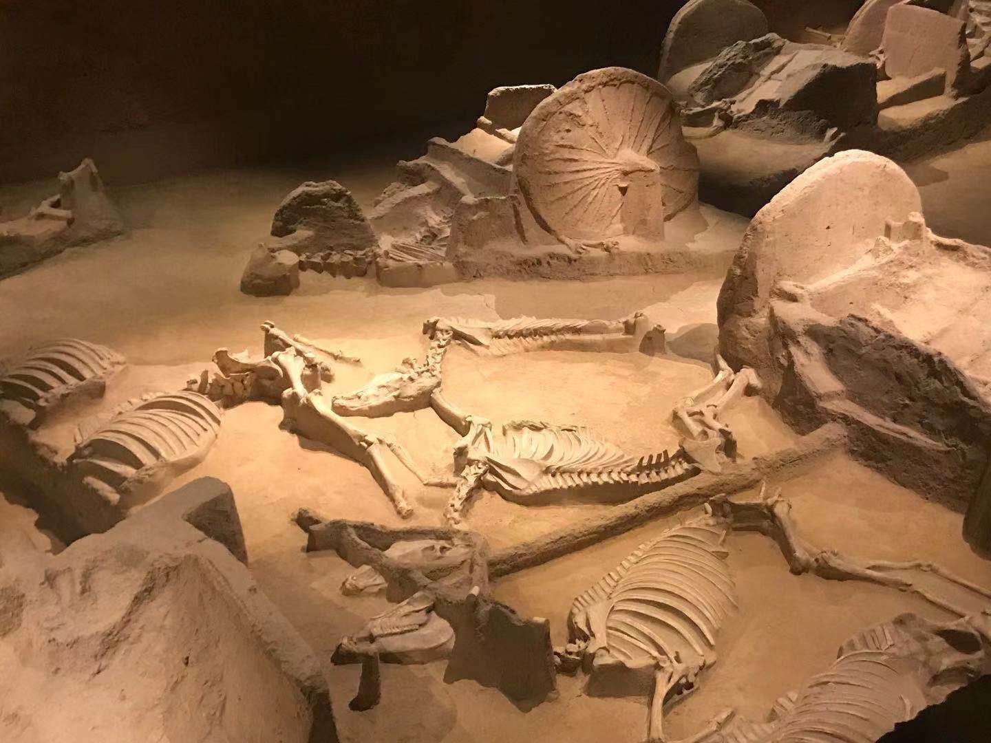 天子驾六博物馆坐落在东周王城广场地下.