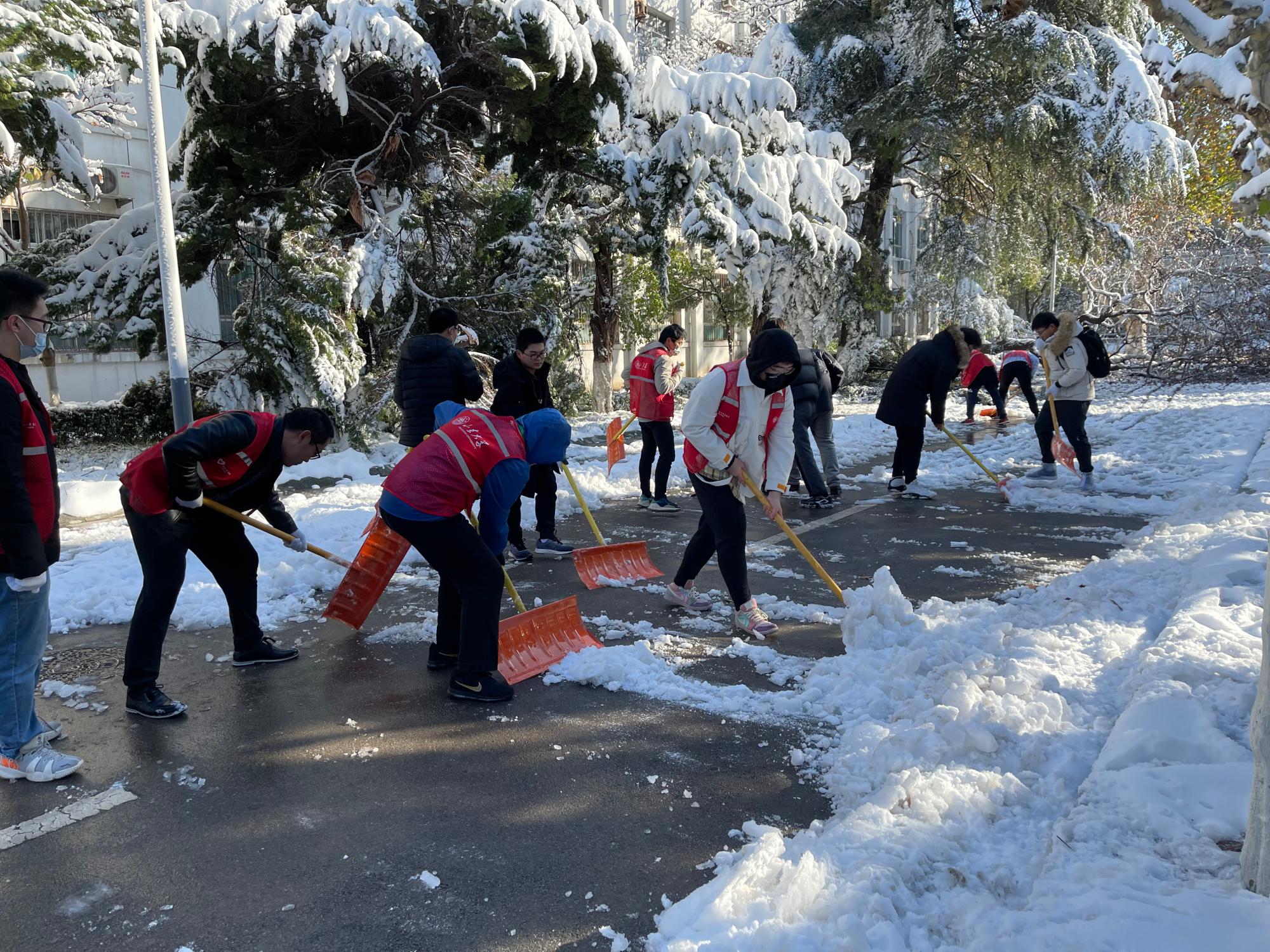 高中学生扫雪图片图片